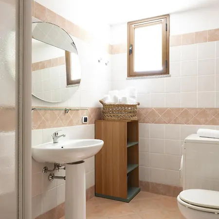 L'olivastro أرباتاكْسْ