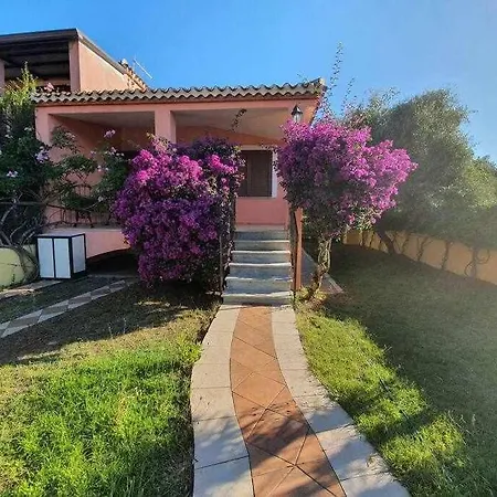 L'olivastro بيت للعطل