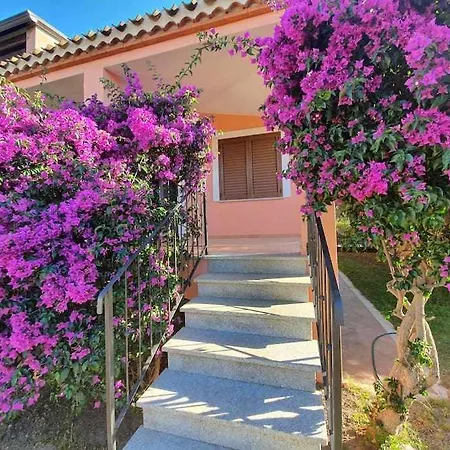 بيت للعطل L'olivastro *