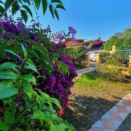 بيت للعطل L'olivastro *