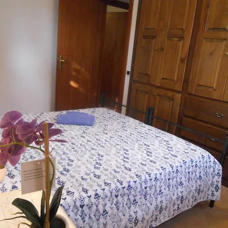 L'olivastro * أرباتاكْسْ