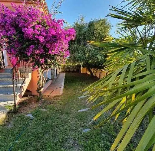 L'olivastro Ferienhaus Àrbatax