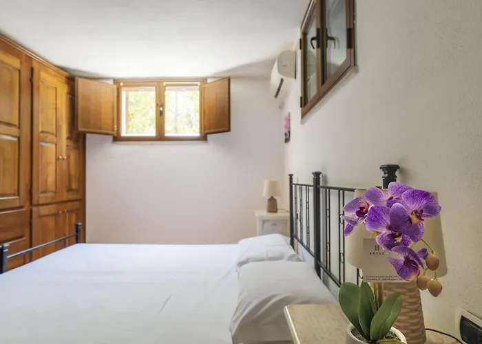 L'olivastro Ferienhaus *